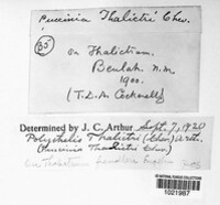 Image Associated With the Occurence